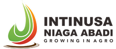 Logo INNA
